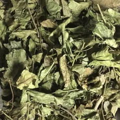 Trà XẠ ĐEN Hoà Bình tiêu u, bướu, mát gan thanh nhiệt