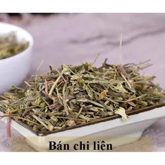 1Kg Bán Chi Liên Túi lọc Trà (Hoàng cầm râu) hỗ trợ K, U bướu