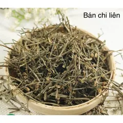 1Kg Bán Chi Liên Túi lọc Trà (Hoàng cầm râu) hỗ trợ K, U bướu