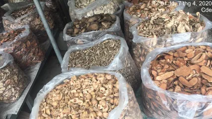 1kg Gắm Khô hỗ trợ gout, đau nhức xương khớp