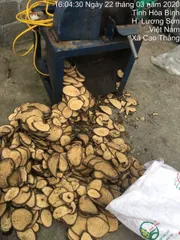 1kg Gắm Khô hỗ trợ gout, đau nhức xương khớp