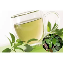 Trà túi lọc Xạ đen Hoà Bình (20 gói x 2gr)