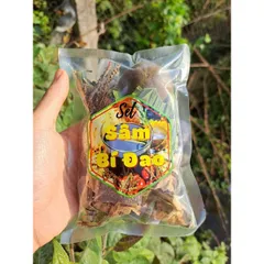 Sâm Bí Đao 11 Vị Nấu 5l Nước (kèm công thức)