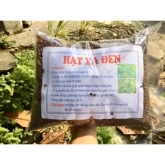 100g Hạt Giống Xạ Đen để trồng hoặc hãm trà hỗ trợ u bướu, ung thư, men gan, huyết áp