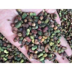 200gram nụ tam thất bắc