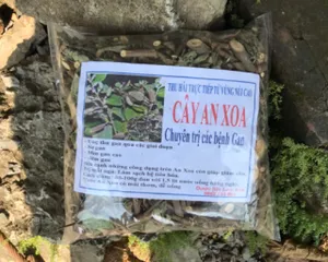Combo 5kg an xoa Hoà Bình