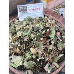 1Kg Lá nam Gan nhiễm mỡ hỗ trợ mát gan, viêm gan, thanh nhiệt