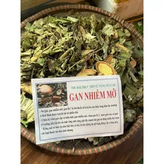 1Kg Lá nam Gan nhiễm mỡ hỗ trợ mát gan, viêm gan, thanh nhiệt