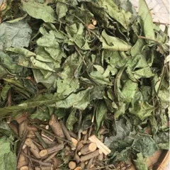 Combo 10Kg Xạ Đen Hoà Bình (Sao Vàng Hạ Thổ) Cả Thân Và Lá, Chuẩn Bản Mường Vụ Mới Khô Thơm, Giúp Dễ Ngủ, Thanh Nhiệt