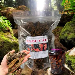 1Kg Nấm Ngọc Cẩu Khô Tự Nhiên – Thảo Dược Rừng Tây Bắc, Dùng Ngâm Tửu, Bồi Bổ Cơ Thể Nam Giới
