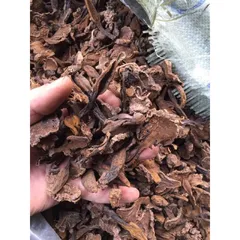 1Kg Nấm Ngọc Cẩu Khô Tự Nhiên – Thảo Dược Rừng Tây Bắc, Dùng Ngâm Tửu, Bồi Bổ Cơ Thể Nam Giới