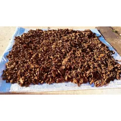1Kg Nấm Ngọc Cẩu Khô Tự Nhiên – Thảo Dược Rừng Tây Bắc, Dùng Ngâm Tửu, Bồi Bổ Cơ Thể Nam Giới