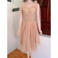 Váy lưới đính ngọc tay dài Giá 320k Hàng có sẵn giao ngay L Có sẵn mút ngực