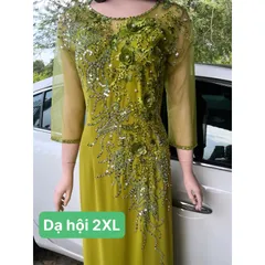 Đầm dạ hội áo dài bên trong đã có váy nên không cần mua thêm quần  Hàng đính kết siêu đẹp Giá 600k/ cái 🍒Hàng thêu tỉ mỉ