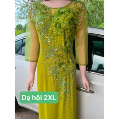 Đầm dạ hội áo dài bên trong đã có váy nên không cần mua thêm quần  Hàng đính kết siêu đẹp Giá 600k/ cái 🍒Hàng thêu tỉ mỉ
