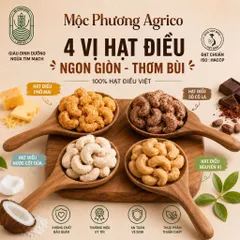 HẠT ĐIỀU CAO CẤP (Hàng Xuất khẩu) Phomai,Chocolate,Cốt dừa,Ng Vị) Rang thơm giòn rụm, hỗ trợ ăn kiêng - Hộp tròn 250 gam 830366