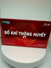 BỔ KHÍ THÔNG HUYẾT – VT
