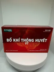 BỔ KHÍ THÔNG HUYẾT – VT