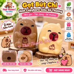Combo 03 chuốt bút chì hình capybara siêu đáng yêu