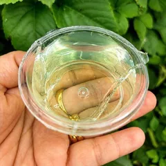 Slime - slam thuỷ tinh trong suốt Capybara