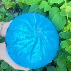 Squishy Bánh Bao mềm dẻo 16cm