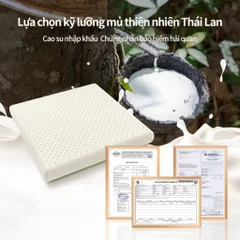 Đệm Ngồi Cao Su Non Siêu Đàn Hồi, Đệm Lót Ghế Chống Đau Xương Cụt, Giảm Đau Ê Mông