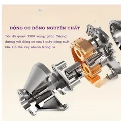 [Mẫu Mới] Máy Xay Đa Năng NGHIỆN NHÀ Cối Thủy Tinh Dày Bền 2 Lưỡi Inox Xay Sinh Tố, Thịt, Cua, Cá