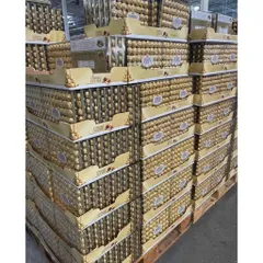 hạn dùng 17/5/2026 HÀNG MỸ Sô cô la FERRERO ROCHER 48 viên. socola Mỹ