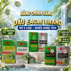 Dầu Gió Xanh Con Ó 2 Nắp 24ml Mỹ,Dầu Gió Vàng,Trắng Mỹ chính hãng