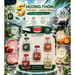 [HÀNG MỸ] [NHẬP MỸ] Combo 5 Hũ Thơm Treo Khử Mùi Ô Tô Yankee Candle
