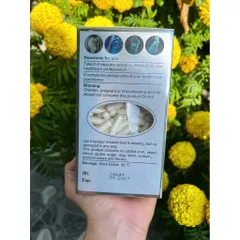 ĐẢM BẢO CHÍNH HÃNG Viên SỤN VI CÁ MẬP COSTAR BLUE SHARK CARTILAGE 365 viên CỦA ÚC