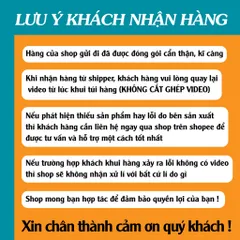 Áo thun form rộng nam nữ thiên thần EVUSLUTION dáng rộng phong cách ullzang hàn quốc