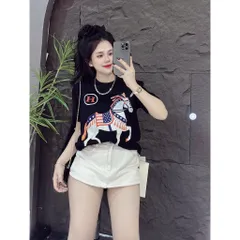 Áo thun form rộng nữ ngựa chữ H hottrend 2026 nhiêu màu nam nữ  unisex cotton đl 260gsm
