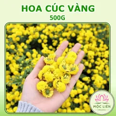 Hoa Cúc Vàng Nguyên Bông 500g Ít Vụn, trà hoa cúc khô giúp an thần, ngủ ngon, đẹp da, dưỡng nhan