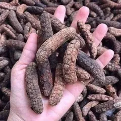 Chuối Hột Rừng Khô Thái Lát - Chuối Hột Rừng Sấy Khô, Loại Đẹp, Hàng Sỉ 5kg 10kg