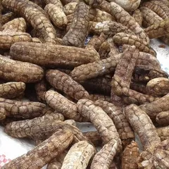 Chuối Hột Rừng Khô Thái Lát - Chuối Hột Rừng Sấy Khô, Loại Đẹp, Hàng Sỉ 5kg 10kg