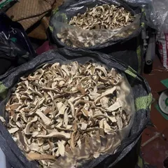 Vỏ bưởi khô 500g – nguyên liệu thô, phơi nắng tự nhiên, nên rửa trước khi dùng