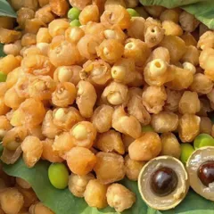 Long Nhãn Sấy Khô Tự Nhiên – Bổ Khí Huyết, An Thần, Ngủ Ngon, Bồi Bổ Cơ Thể