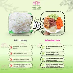 Bún Gạo Lứt Đỏ Orgafood Ăn Kiêng Ít Tinh Bột Eat Clean Thực Dưỡng