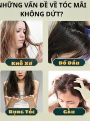 [Hộp 10 gói*5g]Bột gội đâu thảo mộc làm từ bã hạt trà, với phương pháp truyền thống lành tính cho mái tóc