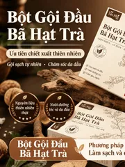 [Hộp 10 gói*5g]Bột gội đâu thảo mộc làm từ bã hạt trà, với phương pháp truyền thống lành tính cho mái tóc
