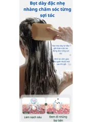[Hộp 10 gói*5g]Bột gội đâu thảo mộc làm từ bã hạt trà, với phương pháp truyền thống lành tính cho mái tóc
