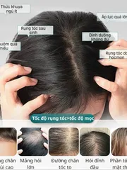 [XIUZHUKANG] Bột gội đaax bã hạt trà kết hợp một số thảo mộc tự nhiên giúp tóc chắc khỏe hơn, nuôi dưỡng từ chân tóc