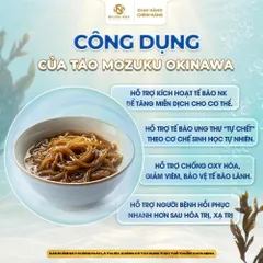 OKINAWA FUCOIDAN 180 viên - Hỗ trợ tăng cường sức đề kháng và sức khỏe Nhật Bản