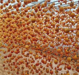 ? Hồng treo gió Đà Lạt chính hãng 500g, dẻo thơm, ngọt thanh tự nhiên, chuẩn vị cao cấp