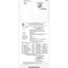 Viên uống dầu Max Gold Solution Thông đỏ Hàn Quốc Made in Korea
