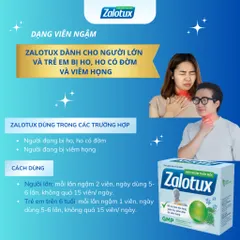 Viên ngậm thảo mộc Zalotux - Kẹo Ngậm Hỗ Trợ Giảm Ho, Ngứa Rát Họng, Giảm Đờm - Hộp 20 viên