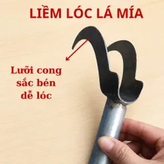 Liềm lóc lá mía hai lưỡi cong sắc bén, lưỡi bén dày dặn