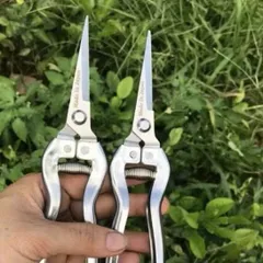 Kéo tỉa dăm, cành, lá cây cảnh Kéo Tỉa Nhỏ Sắc Bén Tỉa Mọi Đoạn Cây Nhỏ- 19cm, Silver