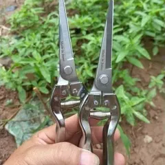 Kéo tỉa dăm, cành, lá cây cảnh Kéo Tỉa Nhỏ Sắc Bén Tỉa Mọi Đoạn Cây Nhỏ- 19cm, Silver